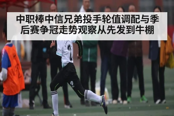 中职棒中信兄弟投手轮值调配与季后赛争冠走势观察从先发到牛棚